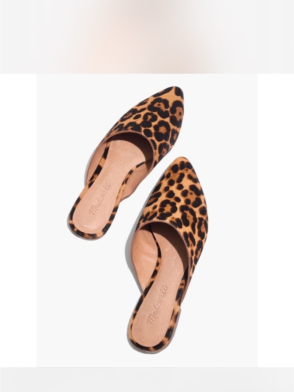 Madewell Leopard-Print Pointed Mule in Tan & Black